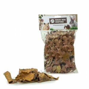 back-zoo-nature-discovery-leaves-rodent