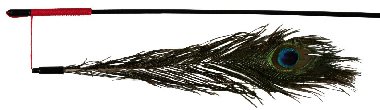 speelhengel-met-pauwenveer-voor-de-kat